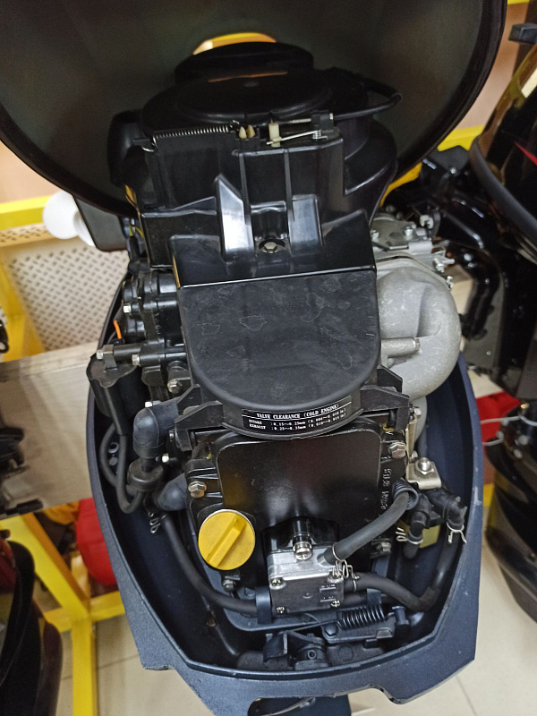 Лодочный мотор BREEZE F9,9S (4х тактный) в Химках