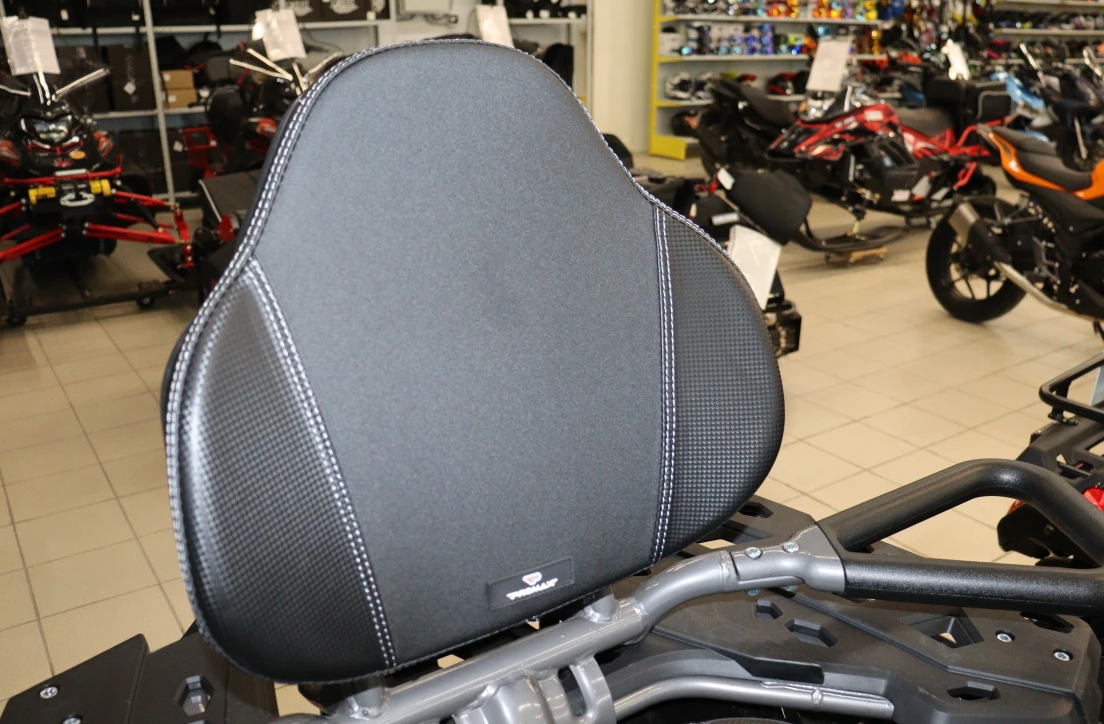 Квадроцикл PROMAX RENEGADE 300 LONG WINCH PRO (2025) в Химках