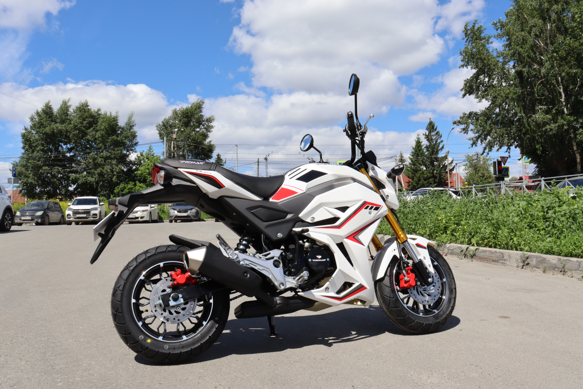 Мотоцикл PROMAX STRYKER 200(49) 2.0 в Химках