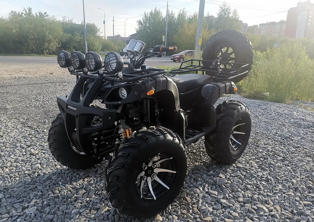 Квадроцикл PROMAX LEO 300 Max (кардан) в Химках