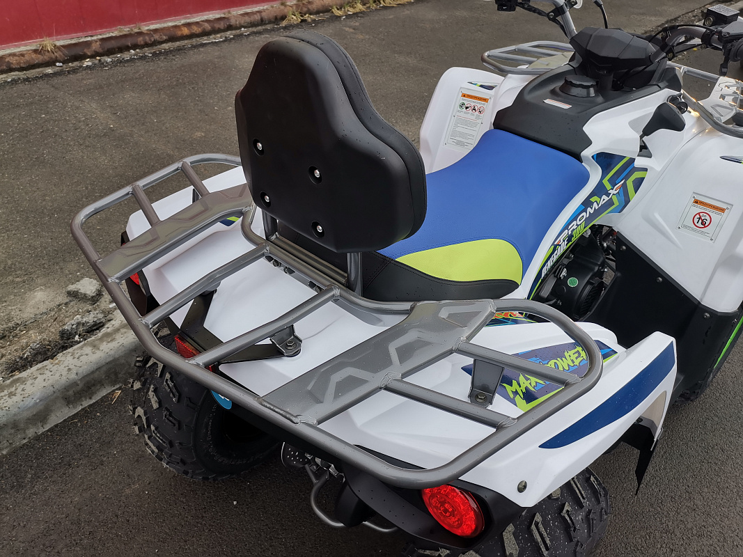 Квадроцикл PROMAX RENEGADE 280 LUX (2025) в Химках