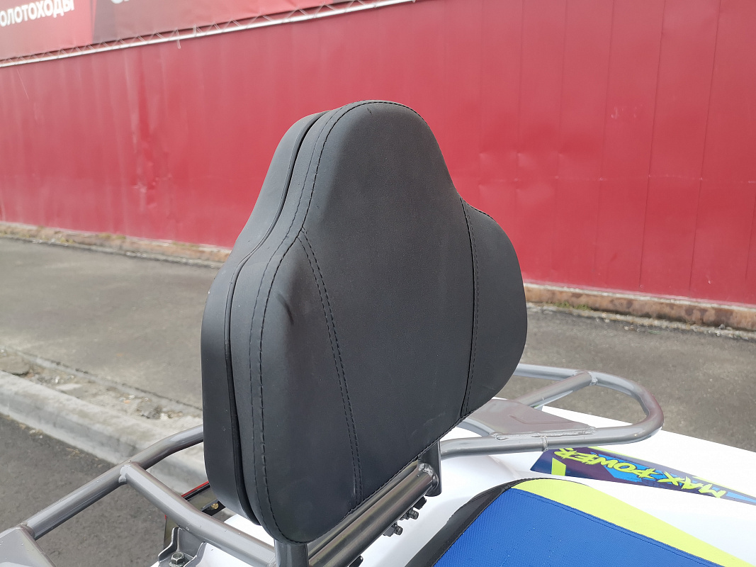 Квадроцикл PROMAX RENEGADE 280 LUX (2025) в Химках