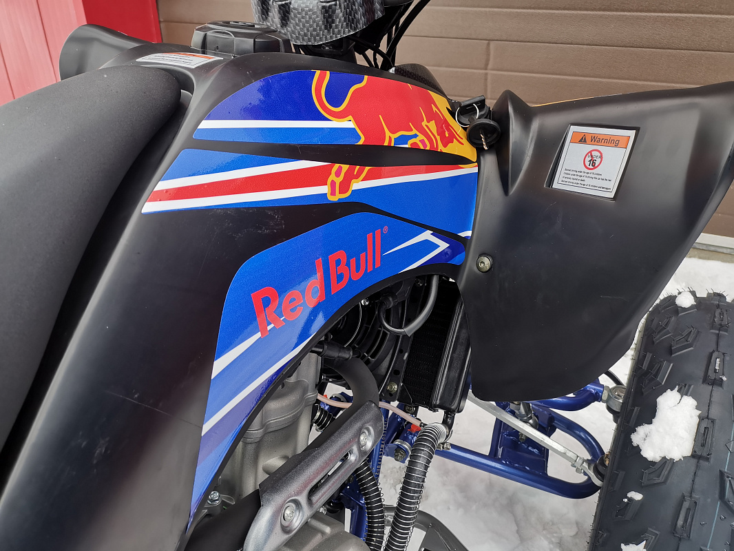 Квадроцикл PROMAX RAPTOR 300 NEW RedBull в Химках