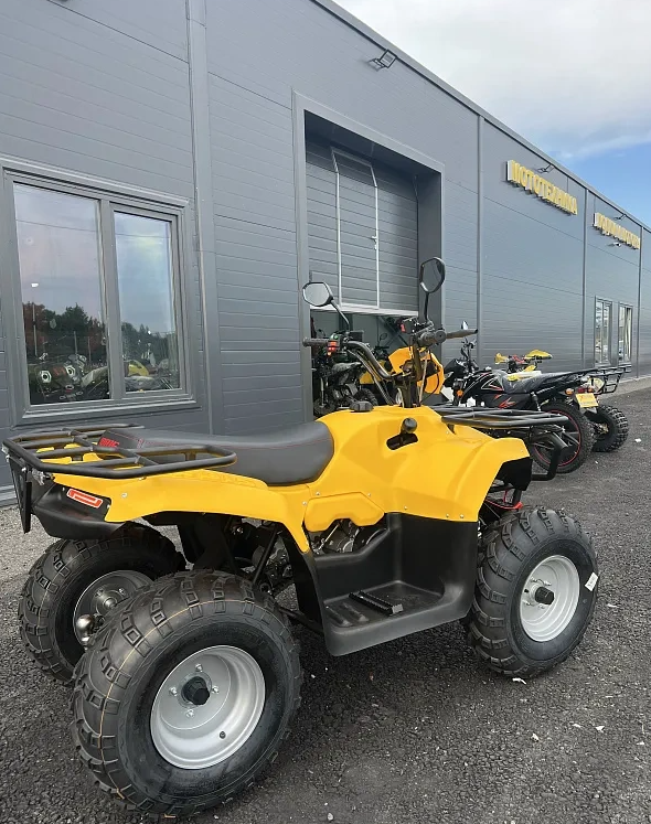 КВАДРОЦИКЛ IRBIS ATV 250  в Химках