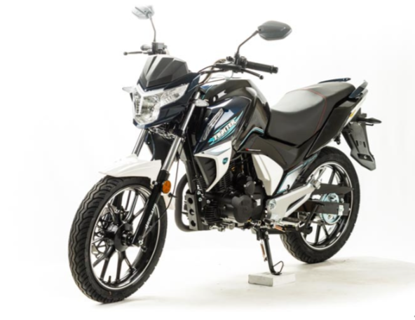 Мотоцикл MOTOLAND (МОТОЛЕНД) FIGHTER 250 в Химках