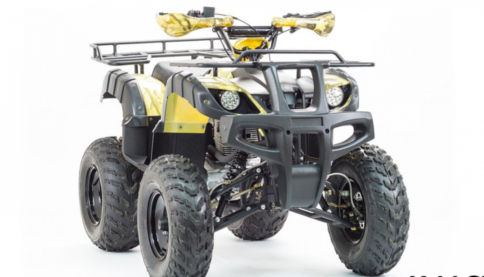 Квадроцикл MOTOLAND (МОТОЛЕНД) 250 ADVENTURE в Химках