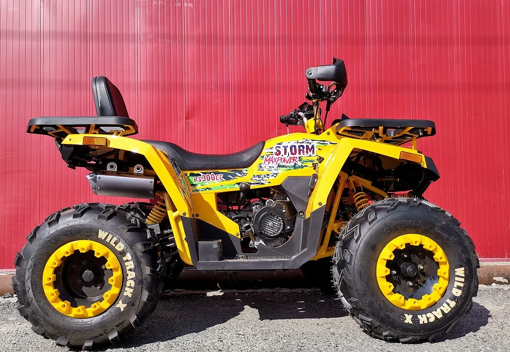 Квадроцикл PROMAX STORM 280 LUX в Химках