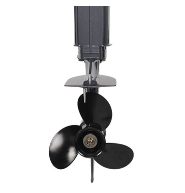 Лодочный мотор ALLFA CG Т40FW S в Химках