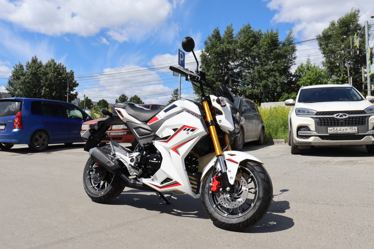 Мотоцикл PROMAX STRYKER 200(49) 2.0 в Химках