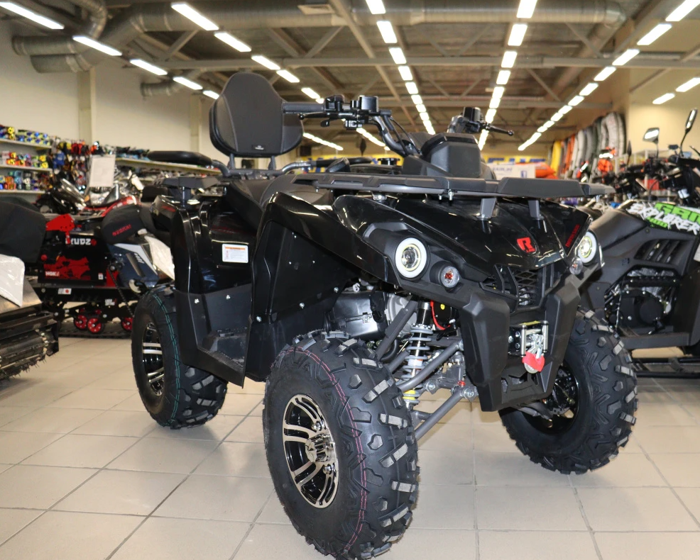 Квадроцикл PROMAX RENEGADE 300 LONG WINCH PRO (2025) в Химках
