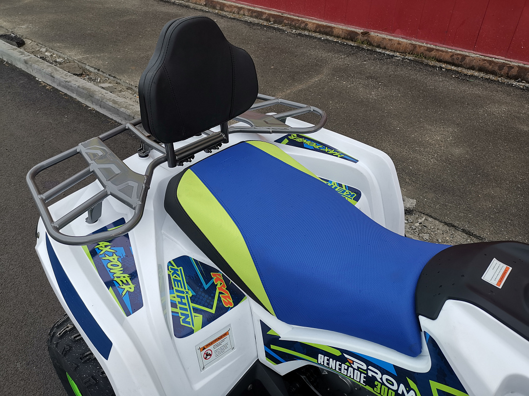 Квадроцикл PROMAX RENEGADE 280 LUX (2025) в Химках