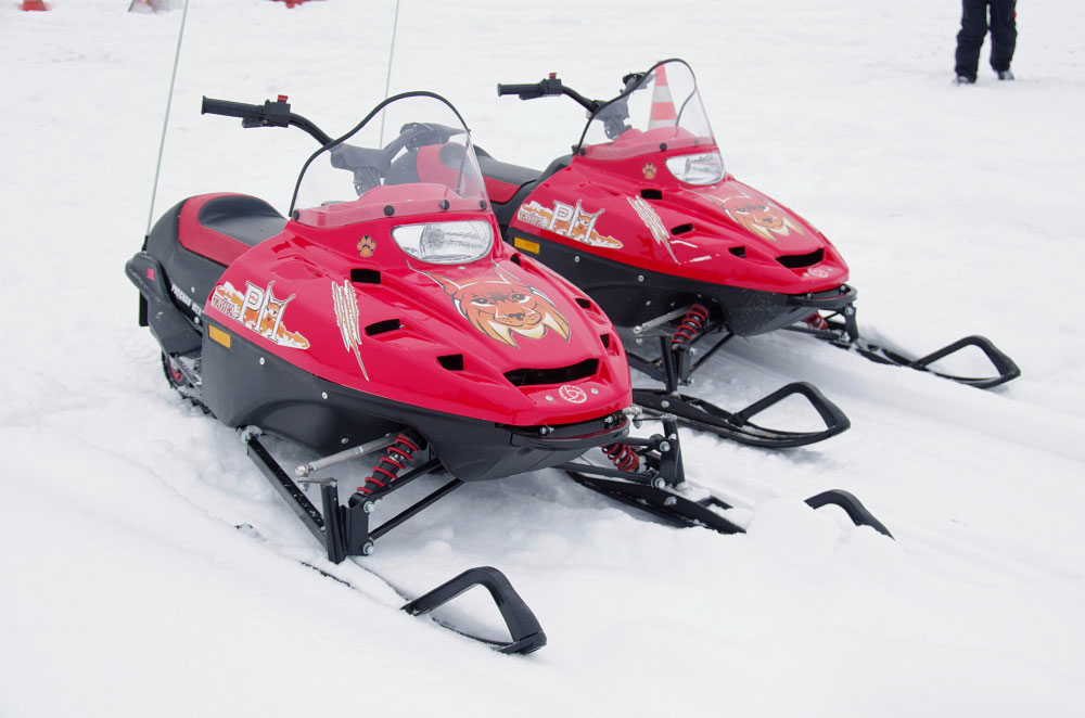 Снегоход РМ ТАЙГА РЫСЬ в Химках