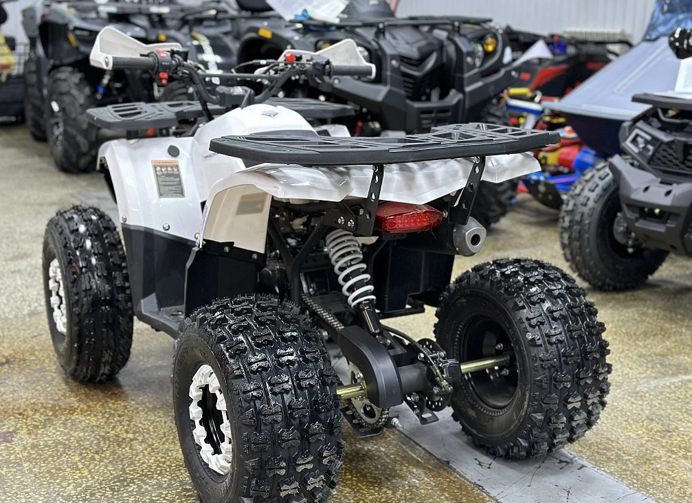 Квадроцикл PROMAX WILD 2.0 190 в Химках