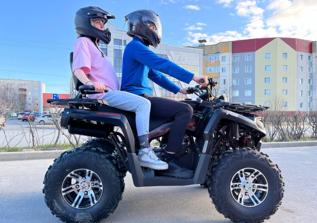 Квадроцикл PROMAX RENEGADE 300 LONG WINCH PRO (2025) в Химках