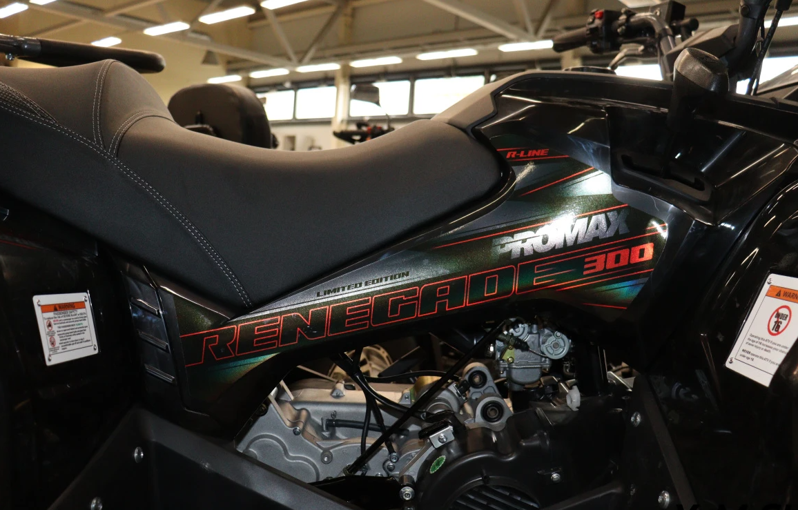 Квадроцикл PROMAX RENEGADE 300 LONG WINCH PRO (2025) в Химках