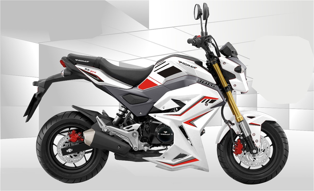 Мотоцикл PROMAX STRYKER 200(49) 2.0 в Химках