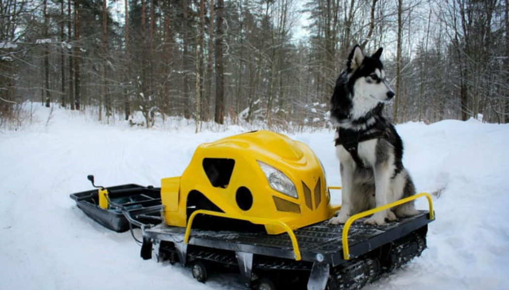 Мотобуксировщик LEBEDEV MOTORS ВОЛКОДАВ POWER V13 в Химках