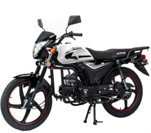 Мопед MOTOLAND (МОТОЛЕНД) Альфа RS 11 (LM48-B) в Химках