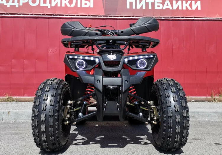 Квадроцикл PROMAX WILD 175 BASIC в Химках