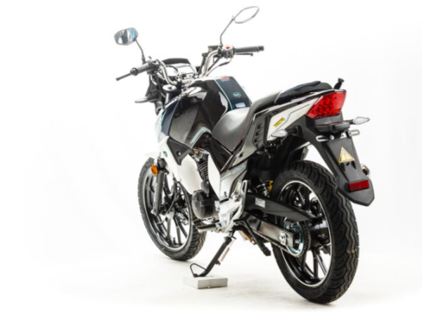 Мотоцикл MOTOLAND (МОТОЛЕНД) FIGHTER 250 в Химках