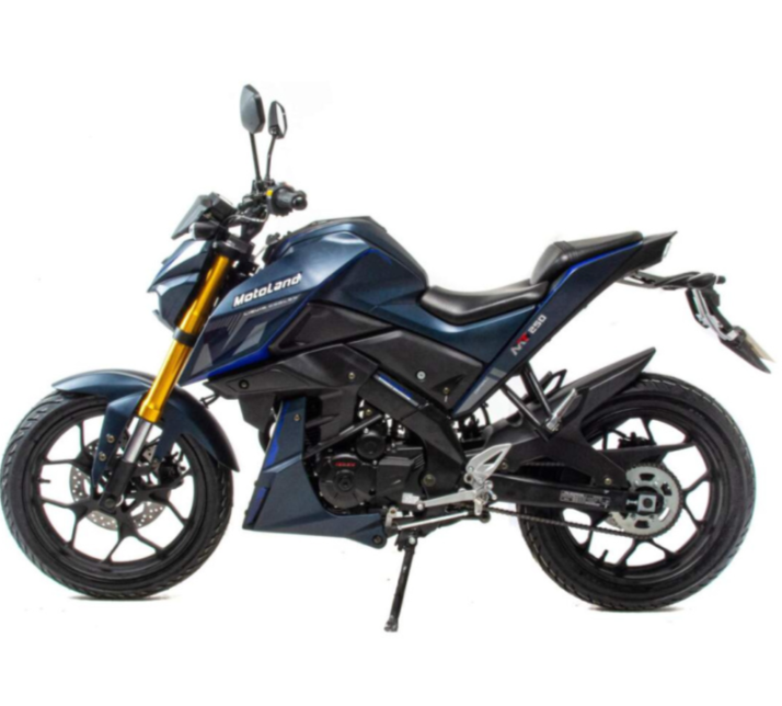Мотоцикл MOTOLAND (МОТОЛЕНД) MT 250 (172FMM-5/PR250) (XL250-F) в Химках