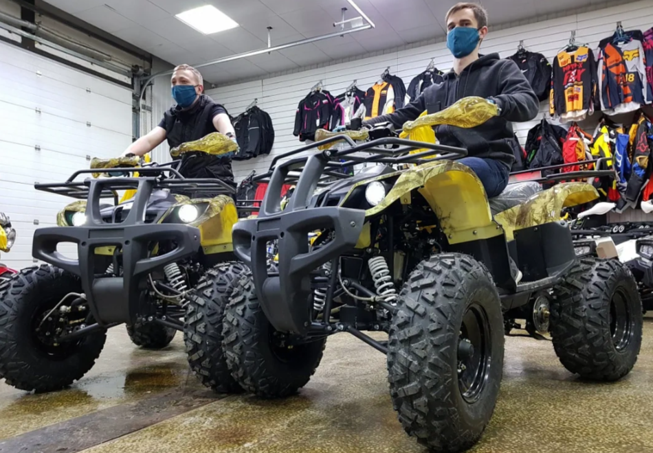 Квадроцикл PROMAX ATV 250 (2025) в Химках