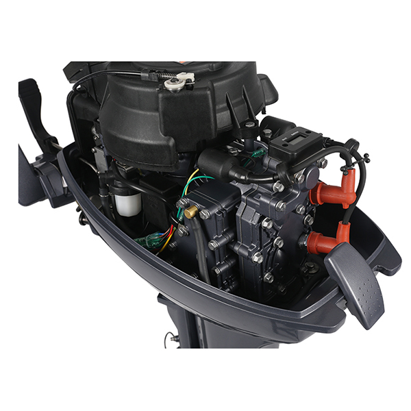 ЛОДОЧНЫЙ МОТОР ALLFA CG Т9,9 в Химках