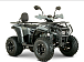 Квадроцикл YACOTA DRAGON LUX LD 150 PRO-SPORT в Химках