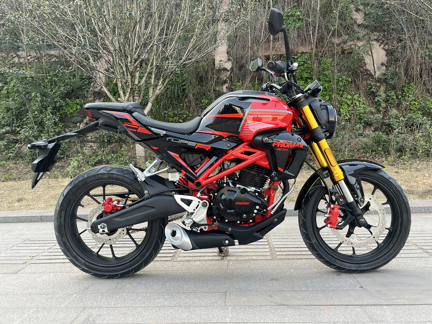 Мотоцикл PROMAX CB300 в Химках