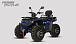 Квадроцикл PROMAX TAURUS 300 MAX-PRO LONG в Химках