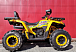 Квадроцикл PROMAX STORM 280 LUX в Химках