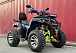  Квадроцикл PROMAX ATV 250 MAX (2025) в Химках