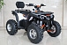 Квадроцикл GBM STORMRIDER 320 PREMIUM в Химках