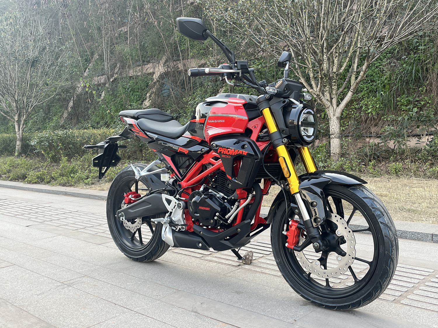 Мотоцикл PROMAX CB300 в Химках