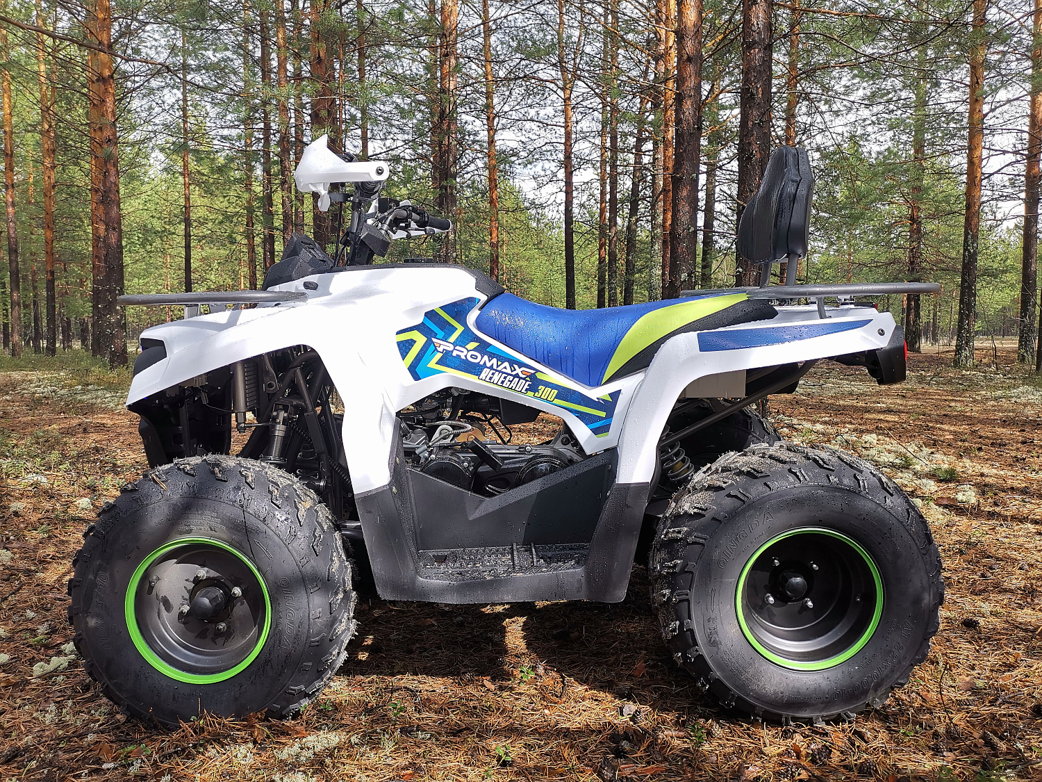 Квадроцикл PROMAX RENEGADE 280 (2025) в Химках