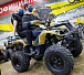 Квадроцикл PROMAX ATV 250 (2025) в Химках