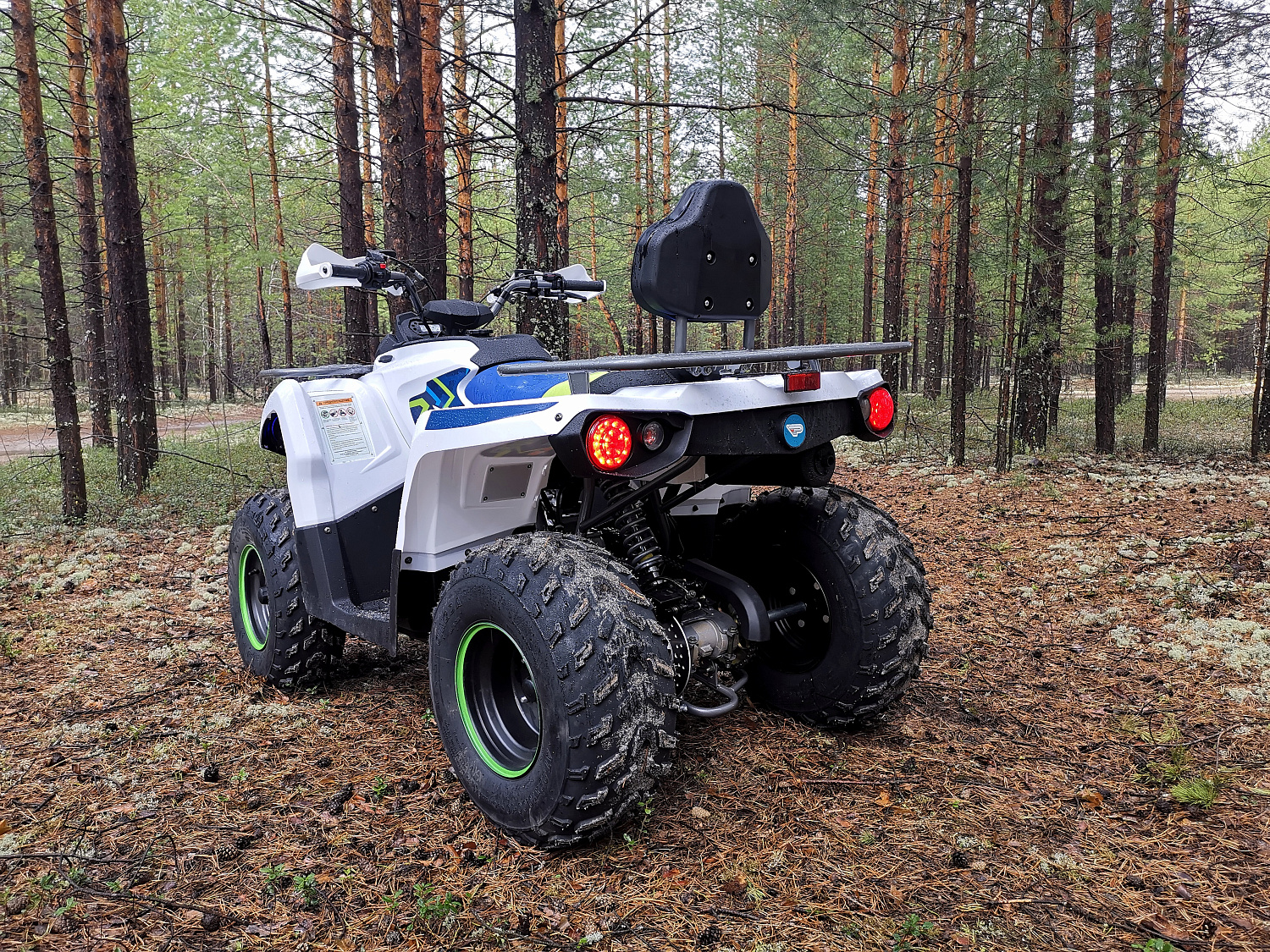 Квадроцикл PROMAX RENEGADE 280 (2025) в Химках