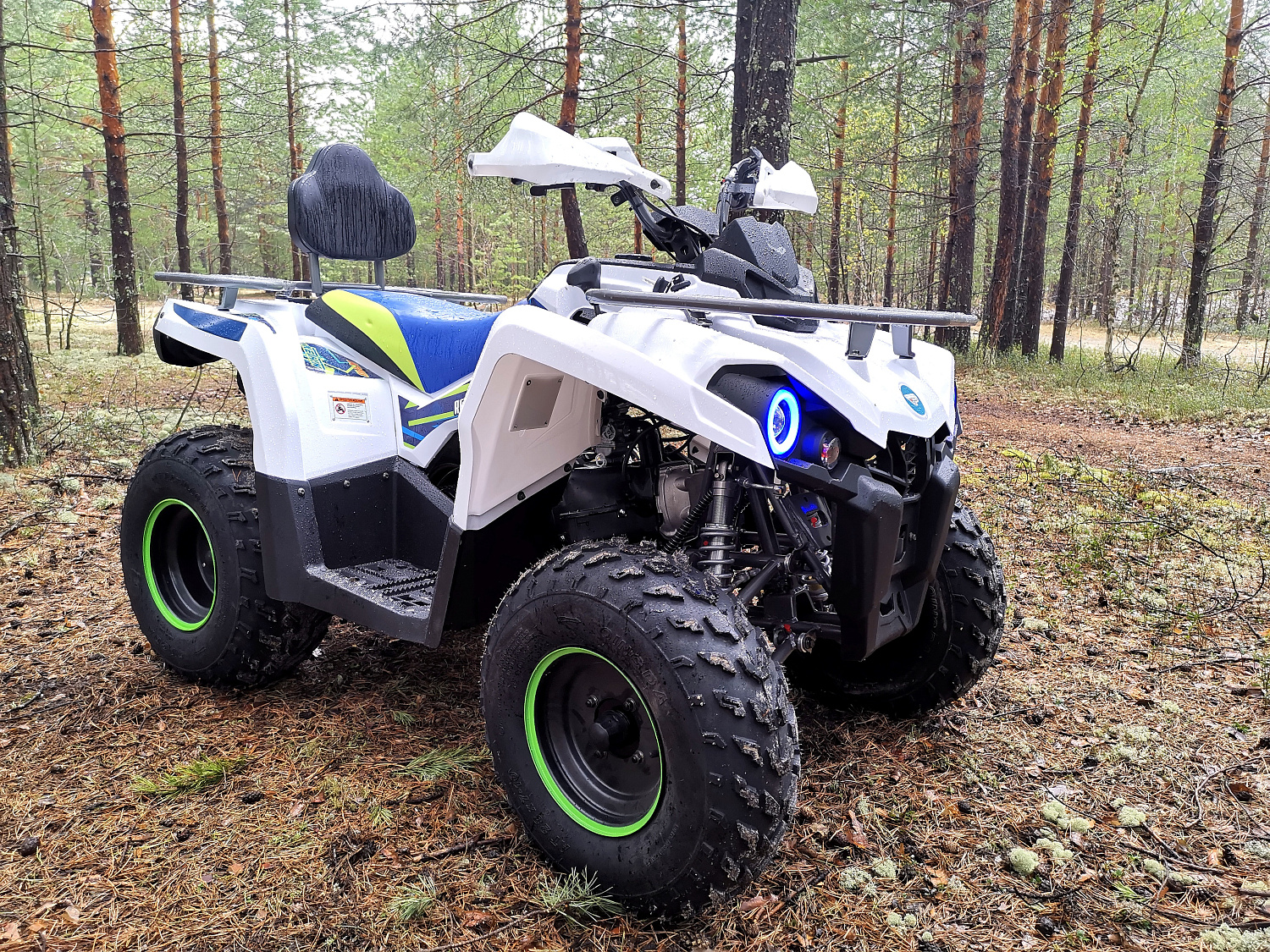 Квадроцикл PROMAX RENEGADE 280 (2025) в Химках