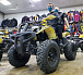 Квадроцикл PROMAX ATV 250 (2025) в Химках