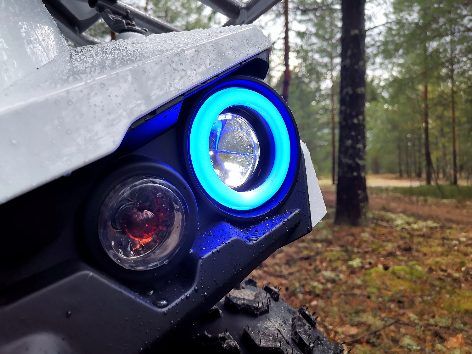 Квадроцикл PROMAX RENEGADE 280 (2025) в Химках