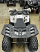Квадроцикл PROMAX WILD 2.0 190 в Химках