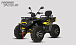 Квадроцикл PROMAX TAURUS 300 MAX-PRO LONG в Химках